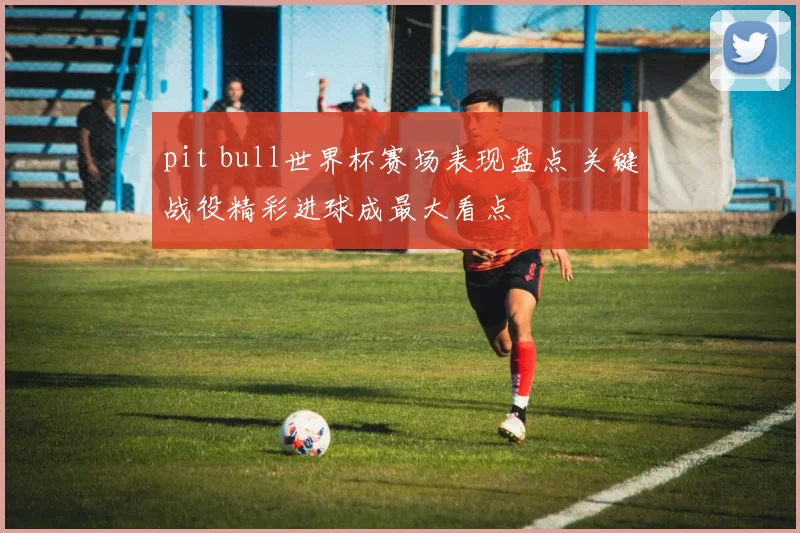 pit bull世界杯赛场表现盘点 关键战役精彩进球成最大看点