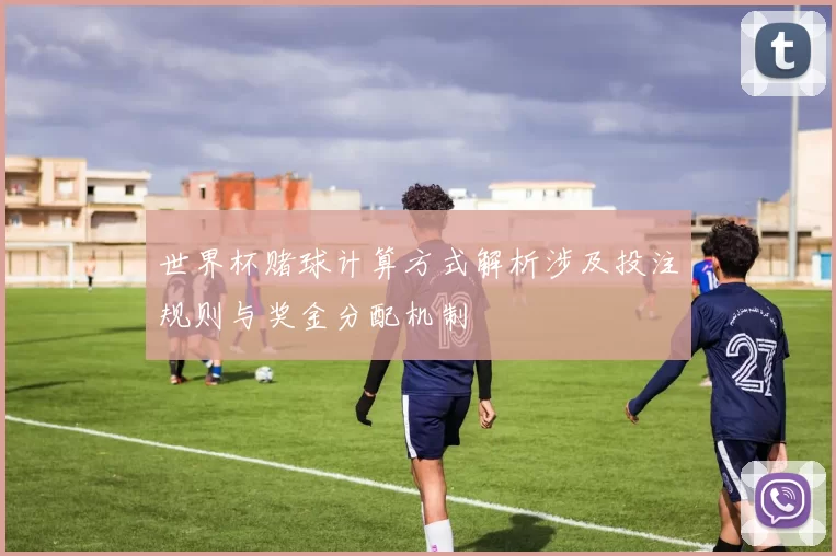 世界杯赌球计算方式解析涉及投注规则与奖金分配机制