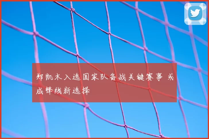 郑凯木入选国家队备战关键赛事 或成锋线新选择