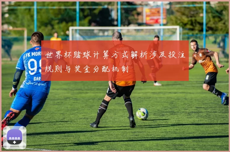 世界杯赌球计算方式解析涉及投注规则与奖金分配机制